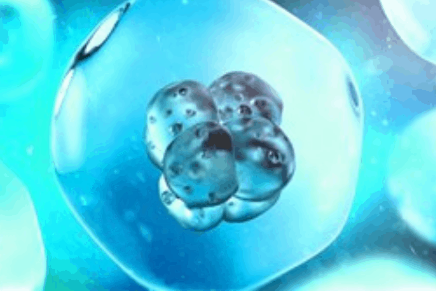 Mosaic Embryo