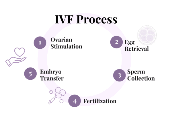Diagram of the IVF process
Ovarian Stimulation
Egg Retrieval
Sperm Collection
Fertilization
Embryo Transfer