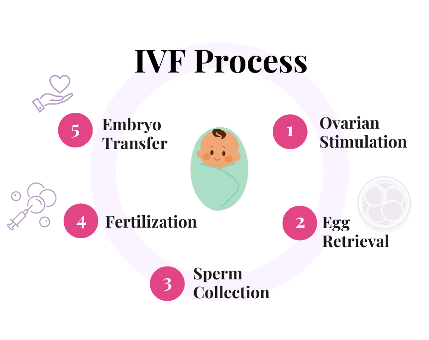 The IVF Process. 1.) Ovarian Stimulation. 2.) Egg Retrieval. 3.) Sperm Collection. 4.) Fertilization. 5.) Embryo Transfer