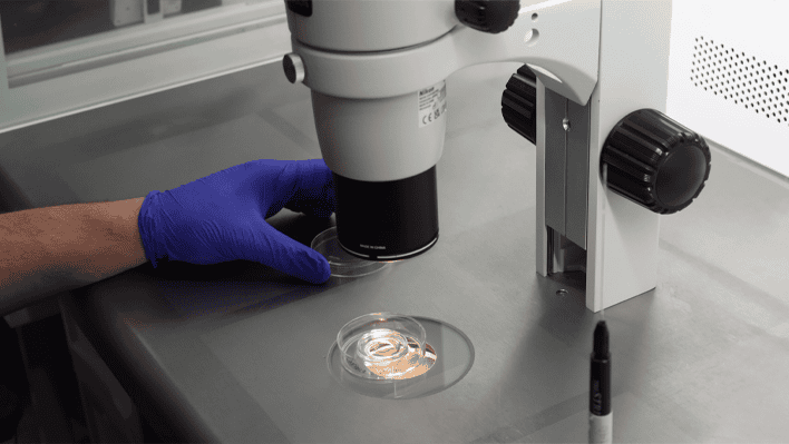 The IVF Center lab safety protocols